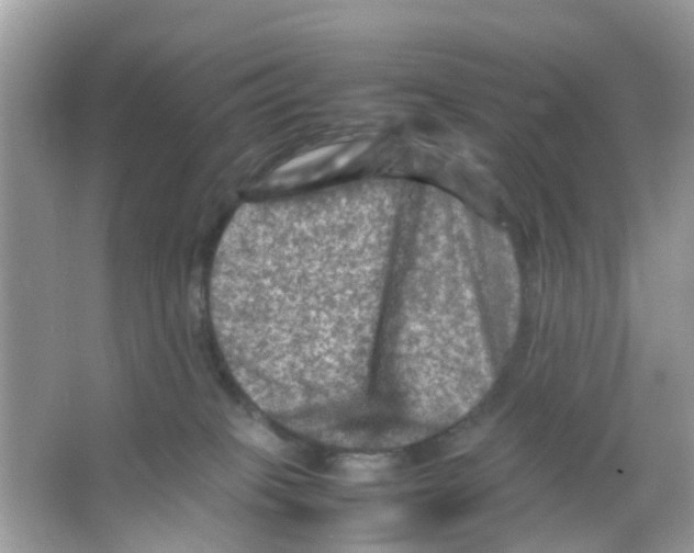 X0000065980085200603311916