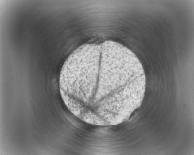 X0000065980086200603311916