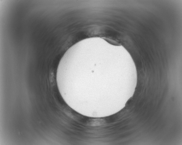 X0000065980087200603311916