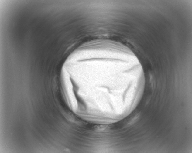 X0000065980088200603311916