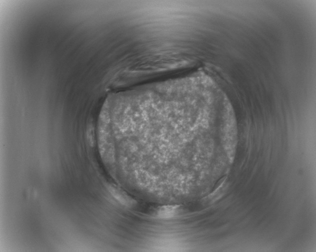 X0000065980090200603311916