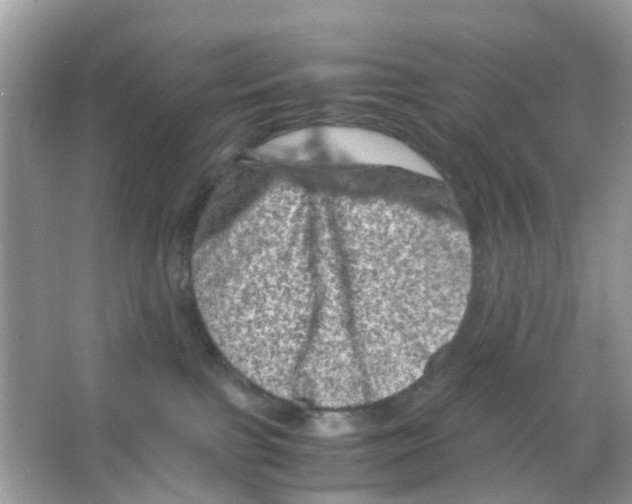 X0000065980091200603311916