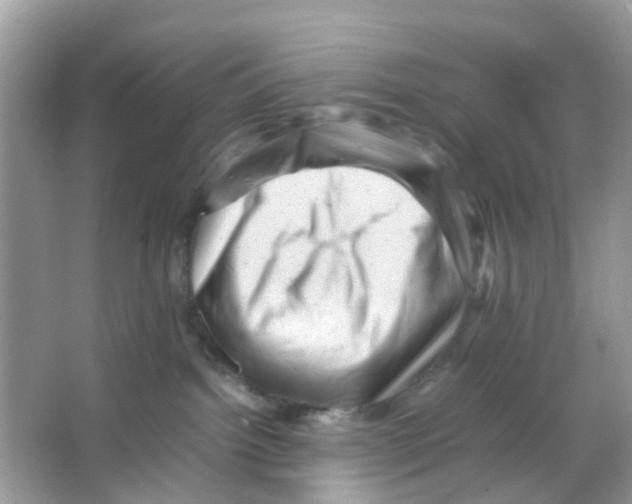 X0000065980092200603311916