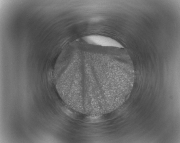 X0000065980093200603311916