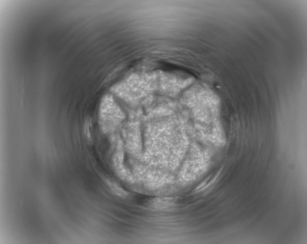 X0000065980094200603311916