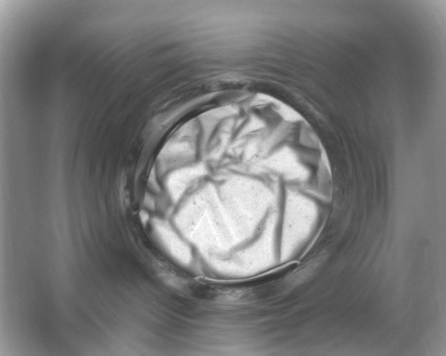 X0000065980096200603311916