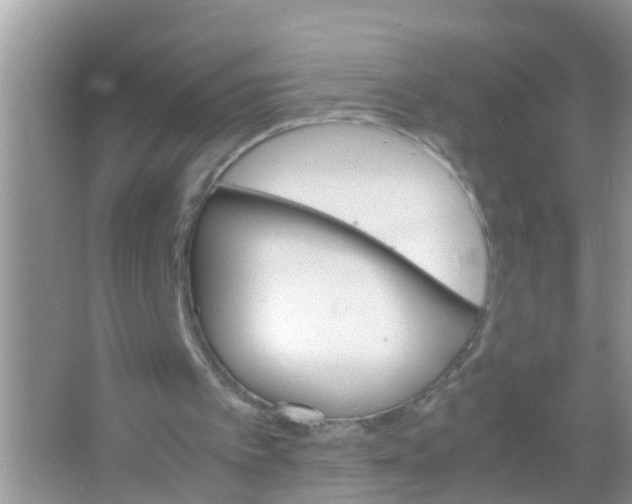 X0000065980097200603311915