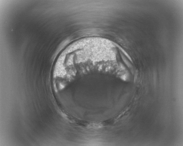 X0000065980099200603311915