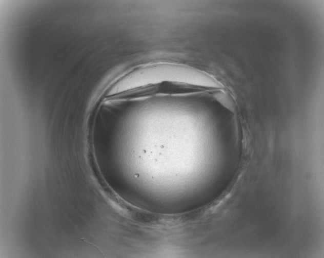 X0000065980101200603311915