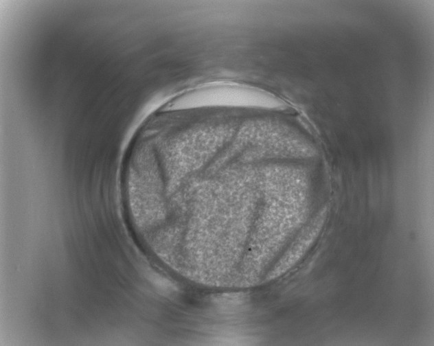 X0000065980102200603311915