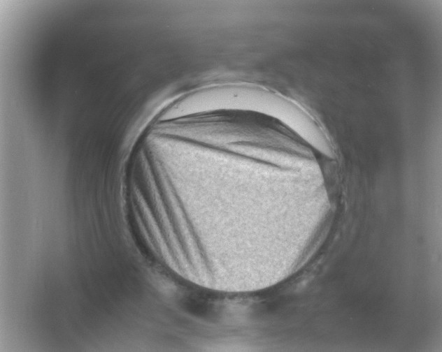 X0000065980103200603311915