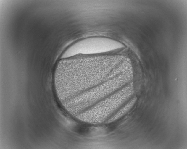 X0000065980107200603311915