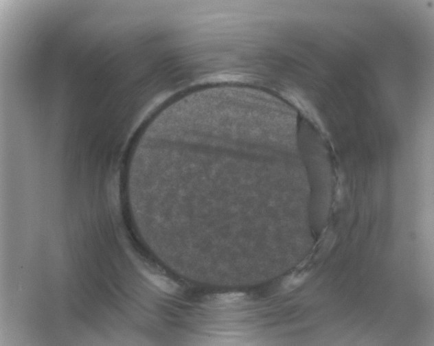 X0000065980108200603311915