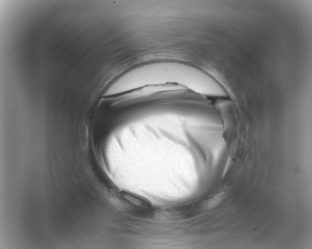 X0000065980109200603311915