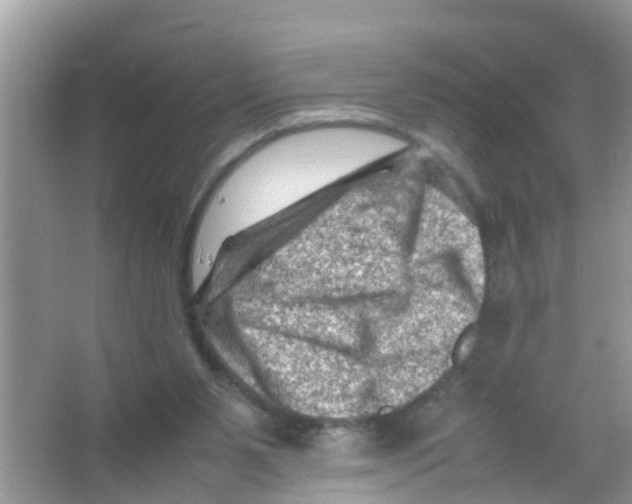 X0000065980111200603311915