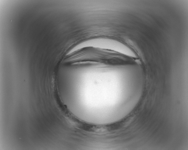 X0000065980113200603311915