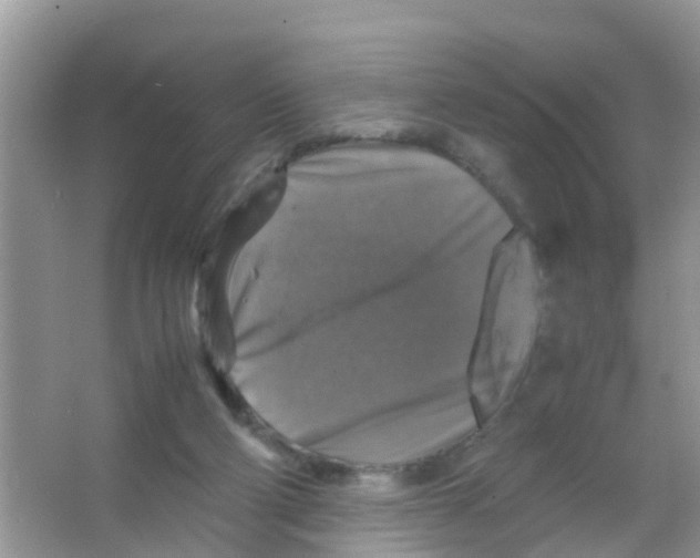 X0000065980114200603311915