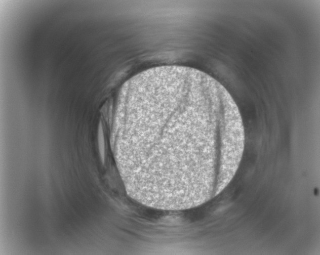 X0000065980119200603311915