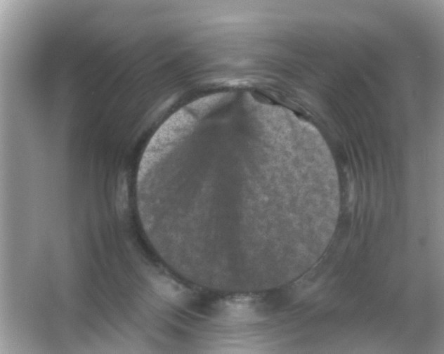 X0000065980120200603311915