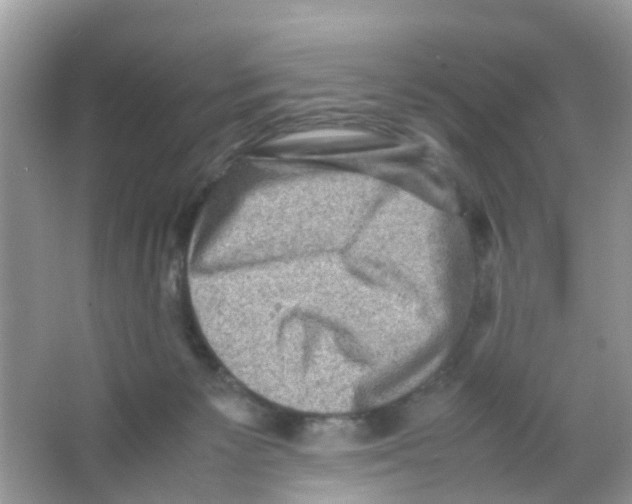 X0000065980125200603311915