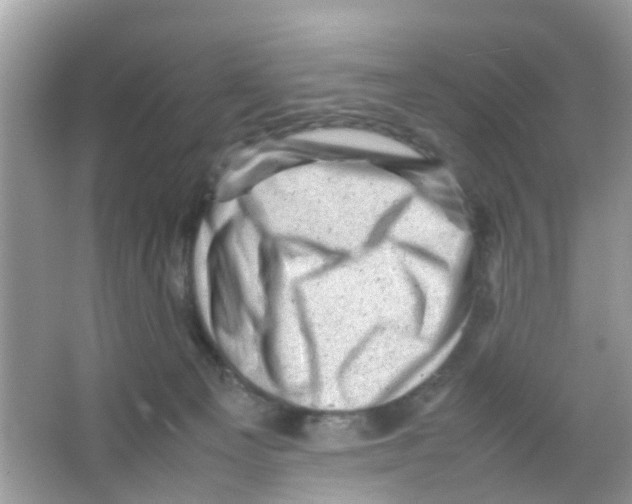 X0000065980129200603311915