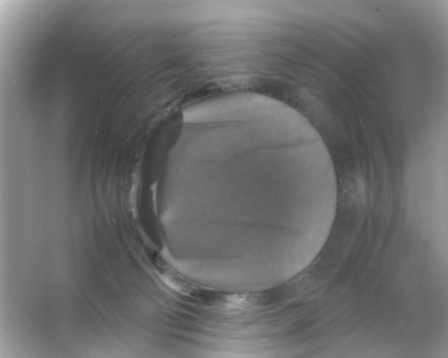 X0000065980130200603311915