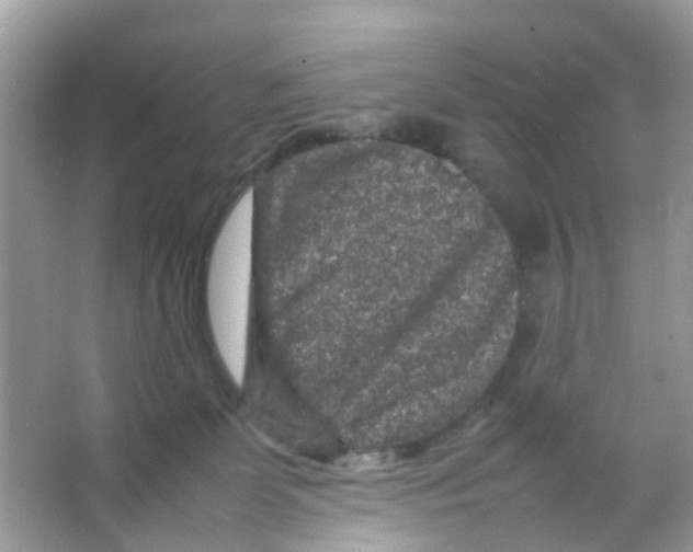 X0000065980131200603311915