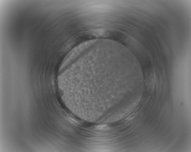 X0000065980132200603311915