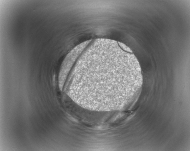 X0000065980135200603311915