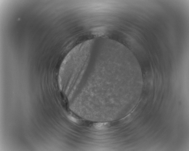 X0000065980136200603311915