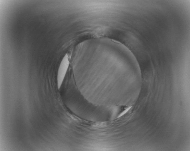 X0000065980139200603311914