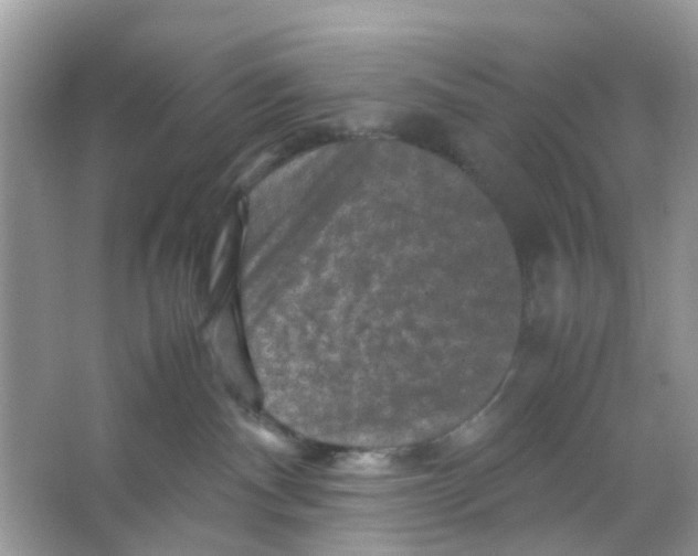 X0000065980140200603311914