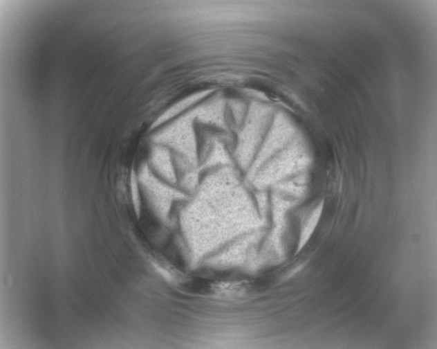 X0000065980141200603311914