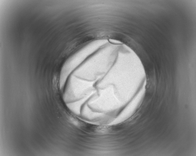 X0000065980142200603311914