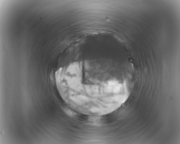 X0000065980143200603311914