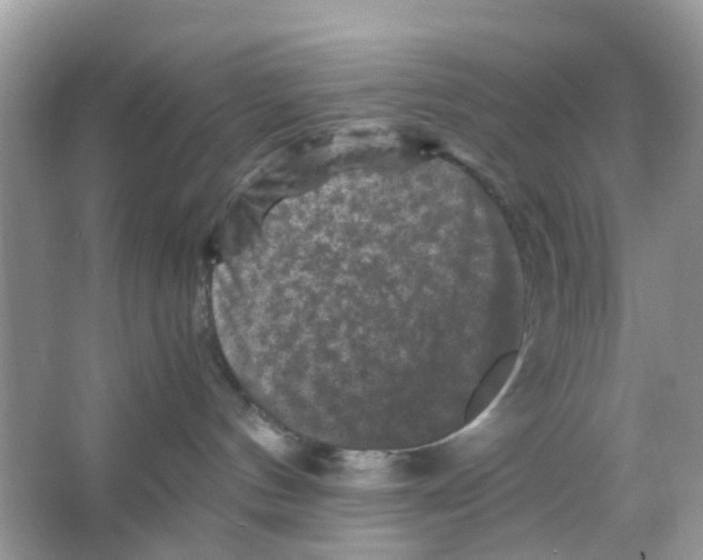 X0000065980144200603311914