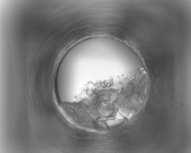 X0000065980145200603311914