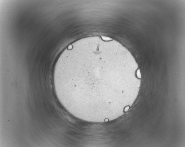 X0000065980146200603311914