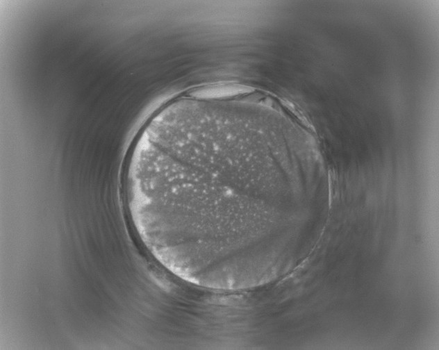 X0000065980147200603311914