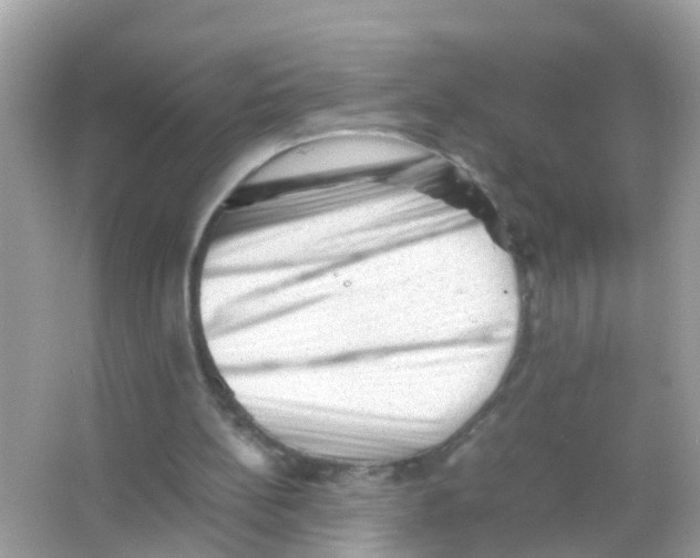 X0000065980148200603311914