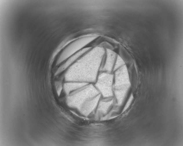 X0000065980150200603311914