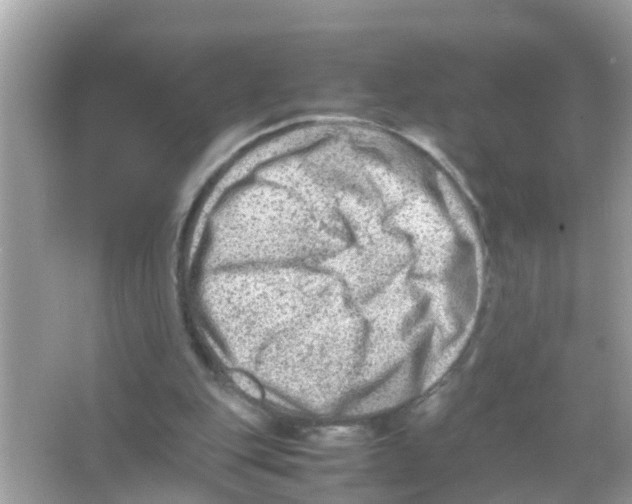 X0000065980151200603311914