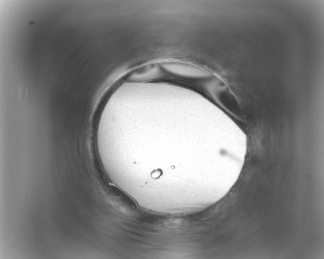 X0000065980152200603311914