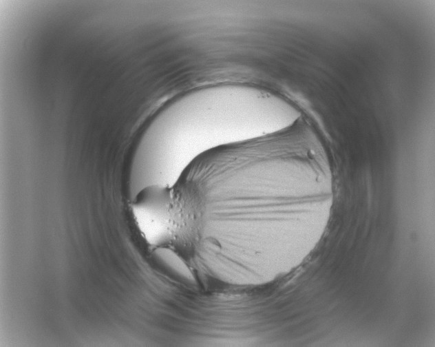 X0000065980154200603311914