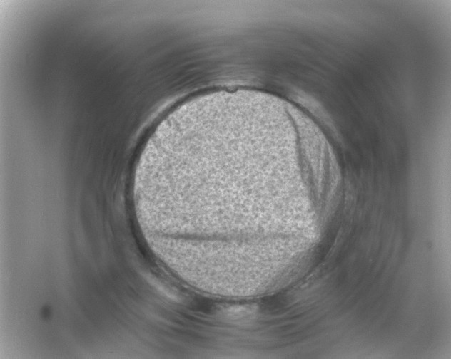 X0000065980155200603311914