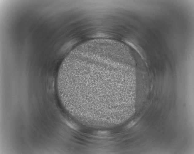 X0000065980157200603311914