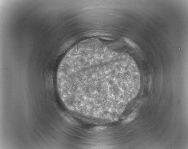 X0000065980158200603311914