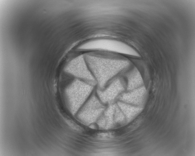 X0000065980160200603311914