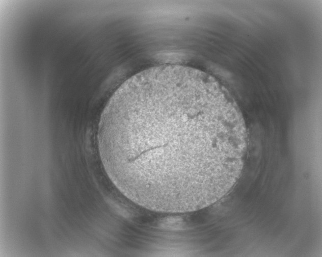 X0000065980162200603311914