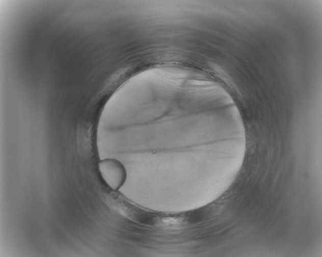 X0000065980163200603311914